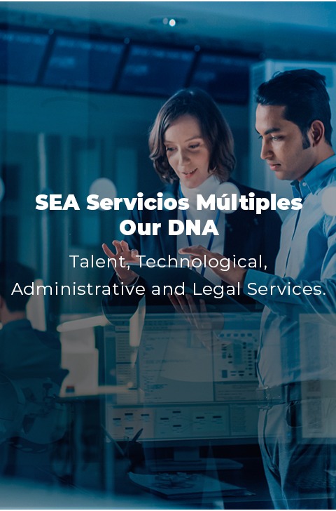 Talent, Technological, Administrative and Legal Services